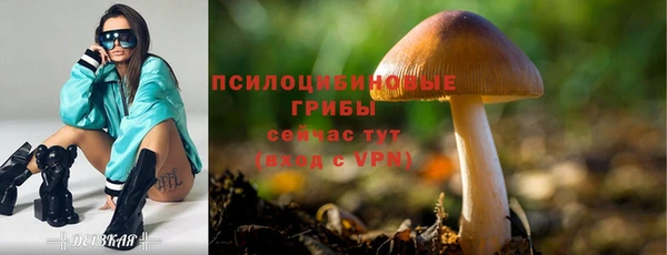 ПСИЛОЦИБИНОВЫЕ ГРИБЫ Аркадак