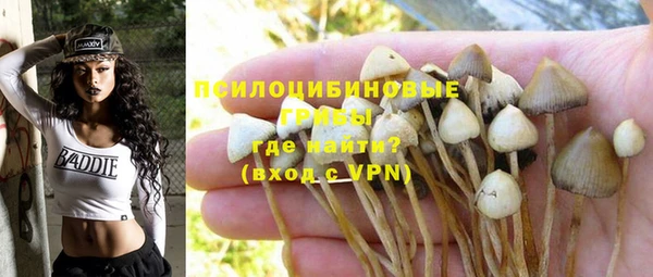 гашиш Пересвет