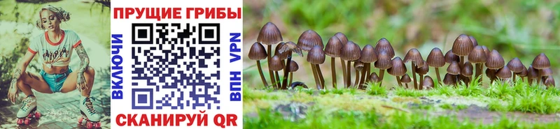 Псилоцибиновые грибы мухоморы  Баймак 